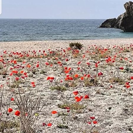 The Poppies Guest House - 100M Ocean - Private Spaces Candelaria Exterior foto