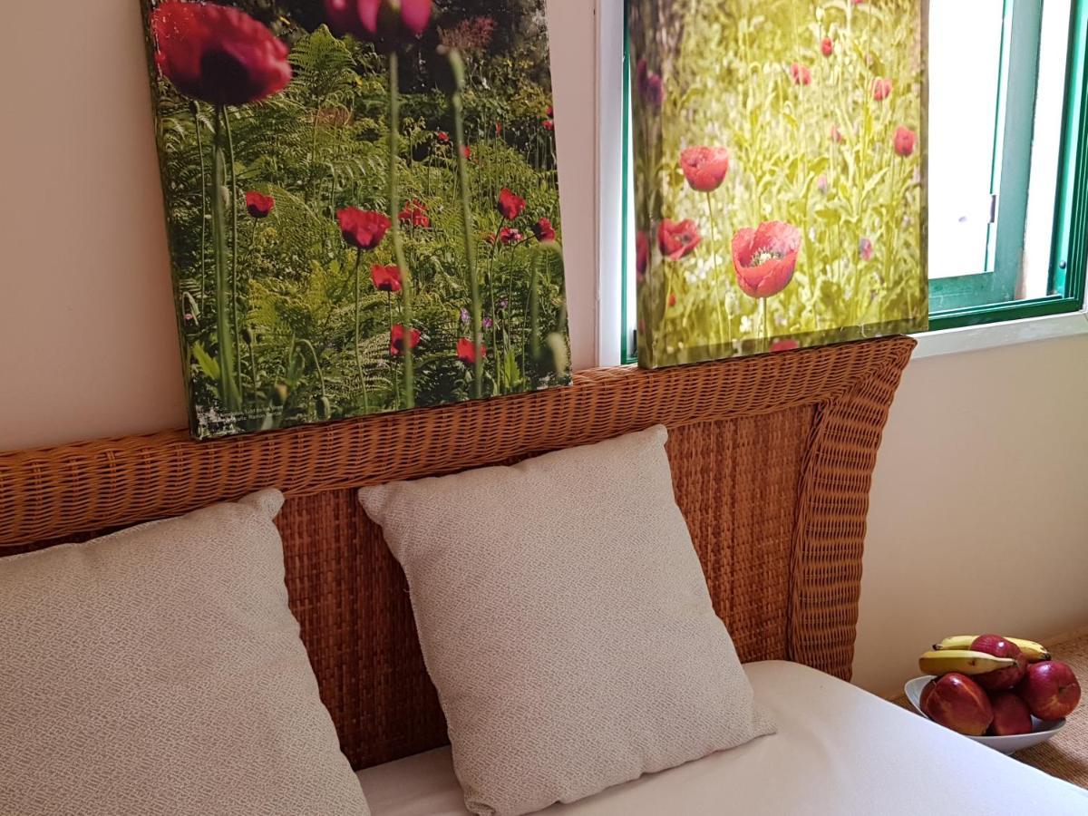 The Poppies Guest House - 100M Ocean - Private Spaces Candelaria Exterior foto