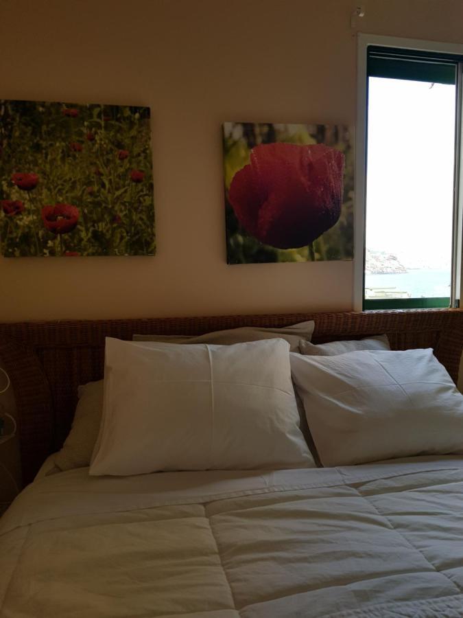 The Poppies Guest House - 100M Ocean - Private Spaces Candelaria Exterior foto